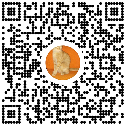 Scan Venmo QR code to pay